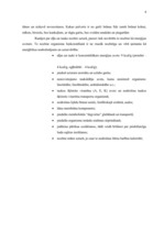 Referāts 'Šokolādes saldējuma ražošanas apraksts', 4.