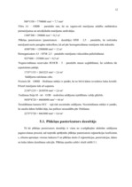 Referāts 'Šokolādes saldējuma ražošanas apraksts', 12.