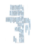 Referāts 'Šokolādes saldējuma ražošanas apraksts', 40.