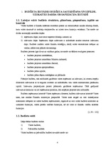 Prakses atskaite 'Prakses atskaite budžeta iestādē', 4.