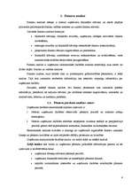 Referāts 'SIA "Norma - S" finansiālās darbības analīze', 4.