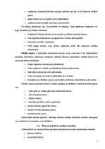 Referāts 'SIA "Norma - S" finansiālās darbības analīze', 5.