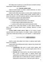 Referāts 'SIA "Norma - S" finansiālās darbības analīze', 9.