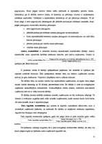 Referāts 'SIA "Norma - S" finansiālās darbības analīze', 12.