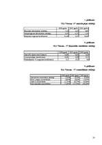 Referāts 'SIA "Norma - S" finansiālās darbības analīze', 28.