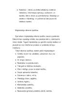 Referāts 'Mājskolotāja profesionalitātes nosacījumi', 2.