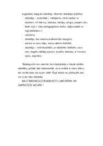 Referāts 'Mājskolotāja profesionalitātes nosacījumi', 5.