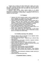 Prakses atskaite 'SIA "Xfloor"', 16.