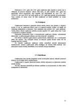 Prakses atskaite 'SIA "Xfloor"', 30.