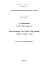 Referāts 'Tūrisma aģentūras SIA "Astra Tūre" reklāmu vizuālā noformējuma analīze', 1.