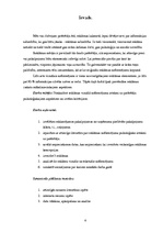 Referāts 'Tūrisma aģentūras SIA "Astra Tūre" reklāmu vizuālā noformējuma analīze', 4.