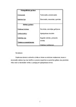 Referāts 'Tūrisma aģentūras SIA "Astra Tūre" reklāmu vizuālā noformējuma analīze', 7.