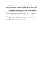 Referāts 'Tūrisma aģentūras SIA "Astra Tūre" reklāmu vizuālā noformējuma analīze', 13.