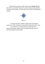 Referāts 'Tūrisma aģentūras SIA "Astra Tūre" reklāmu vizuālā noformējuma analīze', 16.