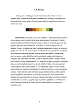 Referāts 'Tūrisma aģentūras SIA "Astra Tūre" reklāmu vizuālā noformējuma analīze', 19.