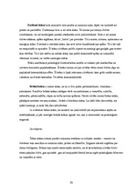 Referāts 'Tūrisma aģentūras SIA "Astra Tūre" reklāmu vizuālā noformējuma analīze', 20.