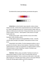 Referāts 'Tūrisma aģentūras SIA "Astra Tūre" reklāmu vizuālā noformējuma analīze', 26.