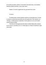 Referāts 'Tūrisma aģentūras SIA "Astra Tūre" reklāmu vizuālā noformējuma analīze', 28.