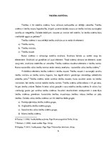 Referāts 'Tiesību teorija', 6.