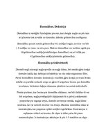 Referāts 'Bērna nākšana pasaulē', 3.