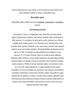 Referāts 'Bērna nākšana pasaulē', 4.