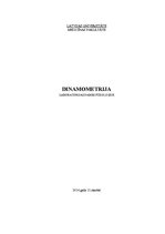 Paraugs 'Dinamometrija', 1.