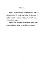 Eseja 'Adaptācija', 6.