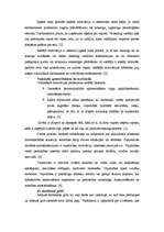 Referāts 'Personāla motivācijas sistēma', 5.