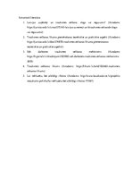 Eseja 'Trauksmes celšanas likums', 6.