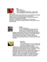 Referāts 'Esteri un smaržvielas', 10.