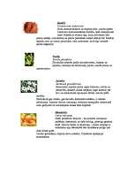 Referāts 'Esteri un smaržvielas', 12.