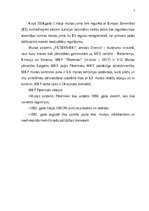 Prakses atskaite 'Pāternieku muitas kontroles punkts - prakses atskaite', 7.