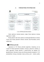 Prakses atskaite 'Pāternieku muitas kontroles punkts - prakses atskaite', 8.