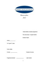 Biznesa plāns 'Biznesa plāns', 1.