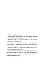 Biznesa plāns 'Biznesa plāns', 5.