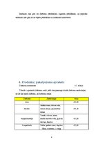 Biznesa plāns 'Biznesa plāns', 6.