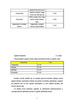 Biznesa plāns 'Biznesa plāns', 7.