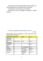 Biznesa plāns 'Biznesa plāns', 8.