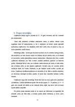 Biznesa plāns 'Biznesa plāns', 13.