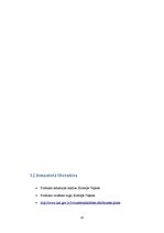Biznesa plāns 'Biznesa plāns', 20.