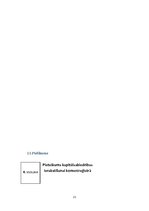 Biznesa plāns 'Biznesa plāns', 21.