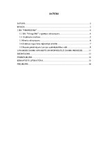 Prakses atskaite 'SIA "Vikings 1961". Reģionālā attīstība', 2.