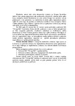 Prakses atskaite 'SIA "Vikings 1961". Reģionālā attīstība', 3.