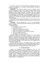 Prakses atskaite 'SIA "Vikings 1961". Reģionālā attīstība', 6.