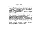 Prakses atskaite 'SIA "Vikings 1961". Reģionālā attīstība', 13.