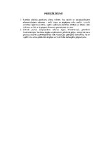 Prakses atskaite 'SIA "Vikings 1961". Reģionālā attīstība', 14.