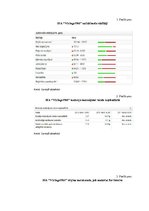 Prakses atskaite 'SIA "Vikings 1961". Reģionālā attīstība', 17.