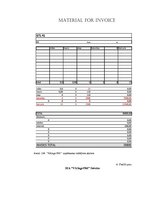 Prakses atskaite 'SIA "Vikings 1961". Reģionālā attīstība', 18.