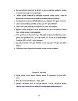 Referāts 'Nacionālo jautājumu aktualizēšanās pēc sociālisma sistēmas sabrukuma', 17.