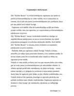 Eseja 'Organizācijas raksturojums', 1.